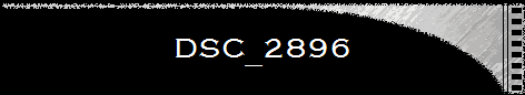 DSC_2896